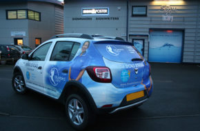 bluebird care side rear